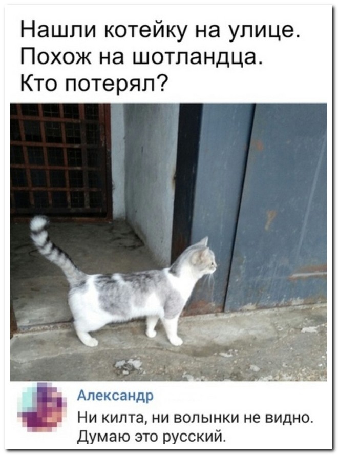 Забавные комментарии из социальных сетей