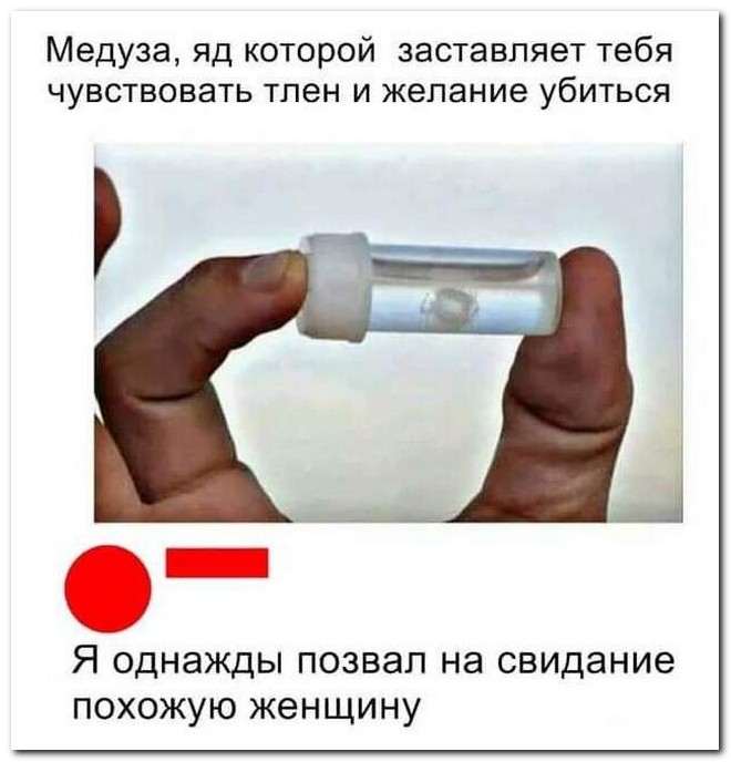 Забавные комментарии из социальных сетей