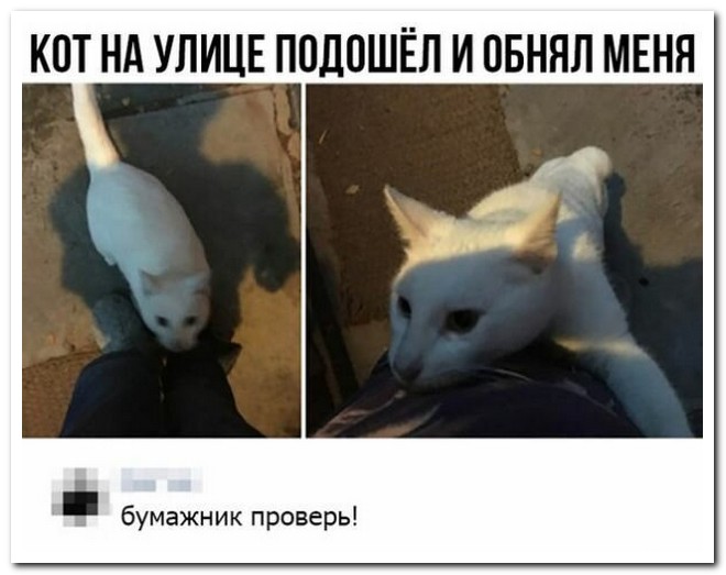 Забавные комментарии из социальных сетей