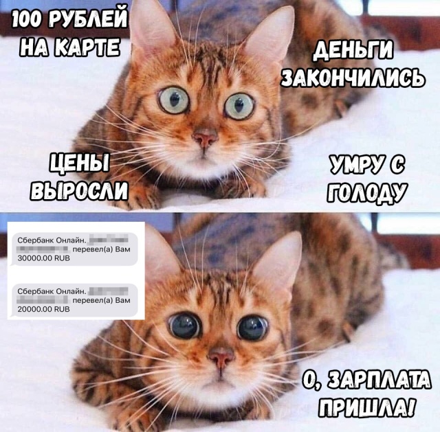 Прикольные картинки