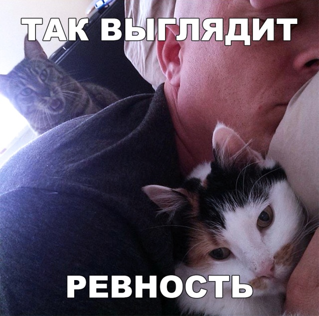 Прикольные картинки