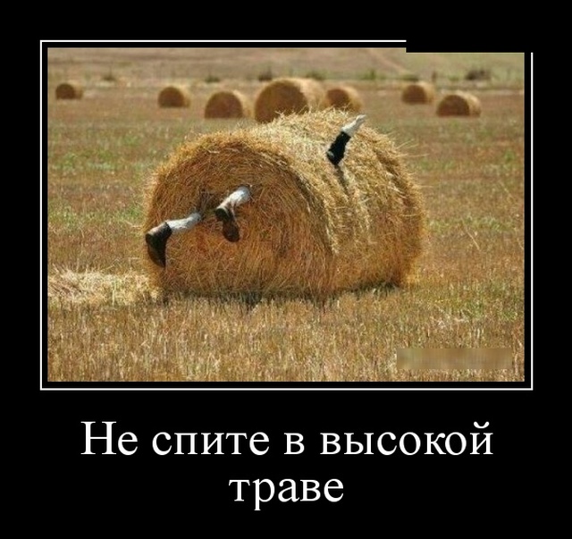 Демотиваторы