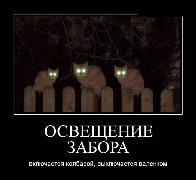 Демотиваторы