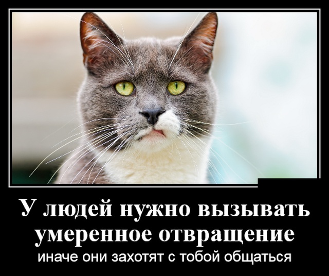 Демотиваторы
