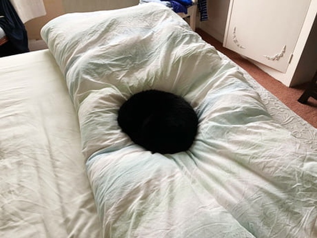 Подборка картинок
