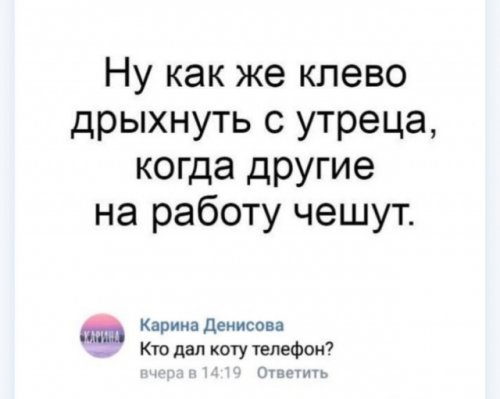 Забавные картинки