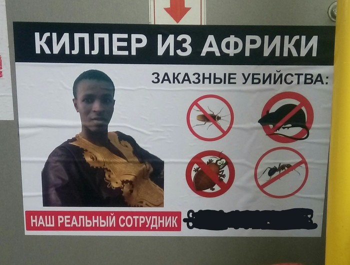 Забавные картинки