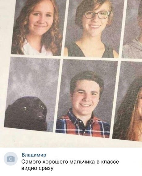 Забавные картинки