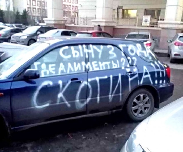 Прикольные картинки Прикольные картинки