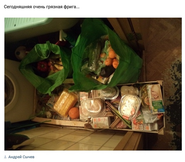 Кто такие фриганы, и чем они питаются