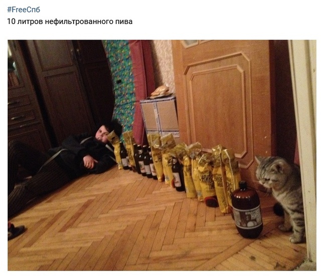 Кто такие фриганы, и чем они питаются