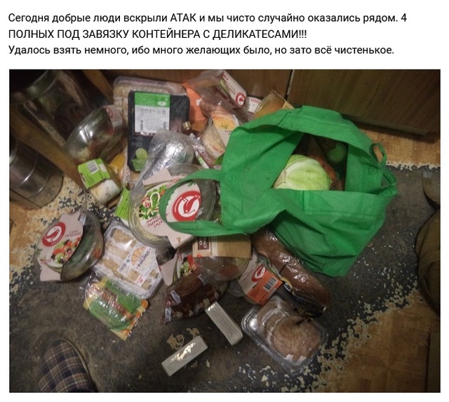 Кто такие фриганы, и чем они питаются