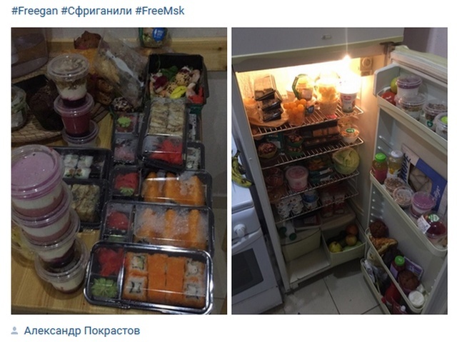 Кто такие фриганы, и чем они питаются
