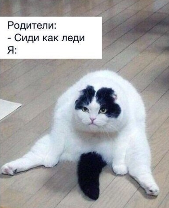 Прикольные картинки