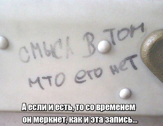 Глубокомысленные заметки "народных философов" на улицах и в общественном транспорте