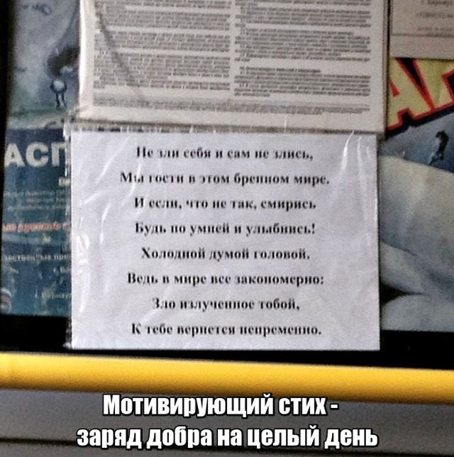 Глубокомысленные заметки "народных философов" на улицах и в общественном транспорте