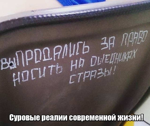 Глубокомысленные заметки "народных философов" на улицах и в общественном транспорте