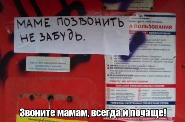 Глубокомысленные заметки "народных философов" на улицах и в общественном транспорте