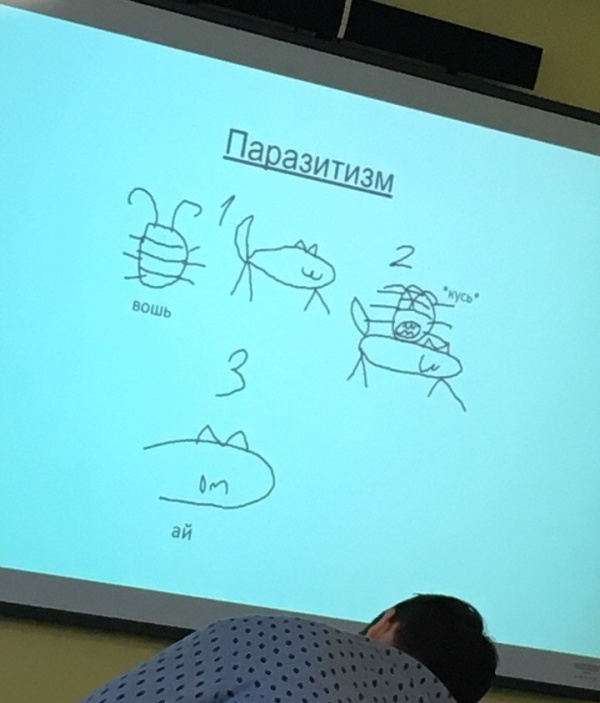 Презентация 100 уровня