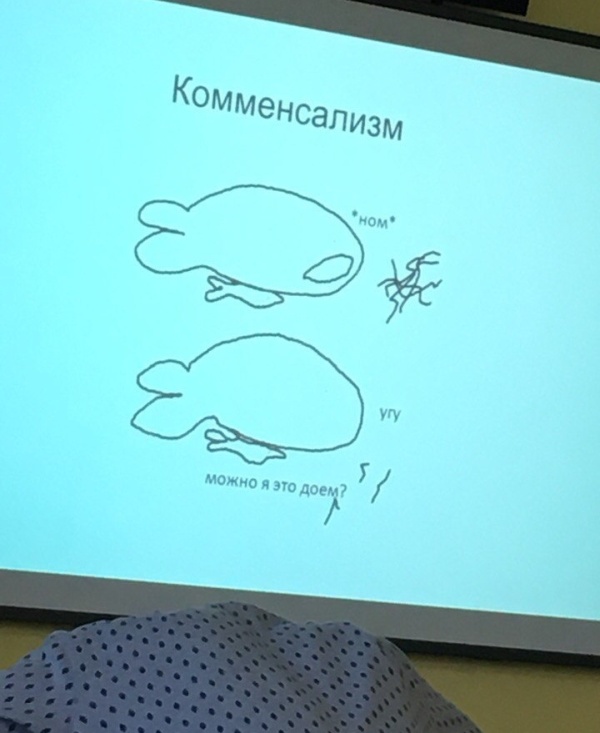 Презентация 100 уровня