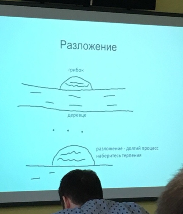 Презентация 100 уровня