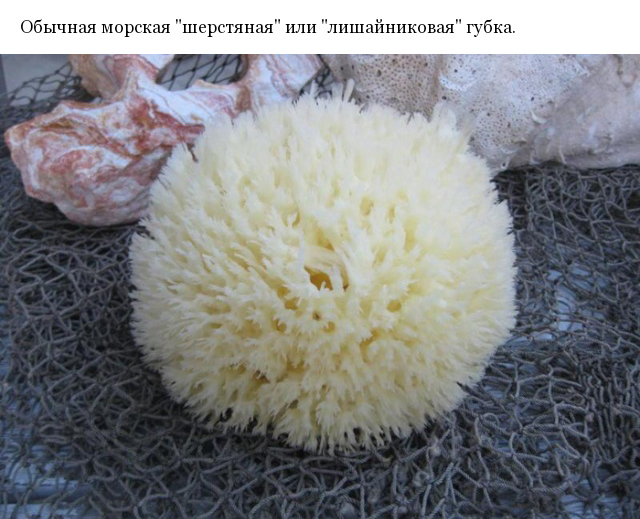 Люди задаются вопросом: "Что это такое?"