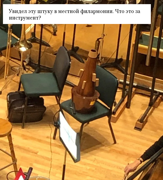Люди задаются вопросом: "Что это такое?"