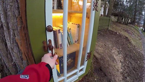 Библиотека в стволе старого сухого дерева