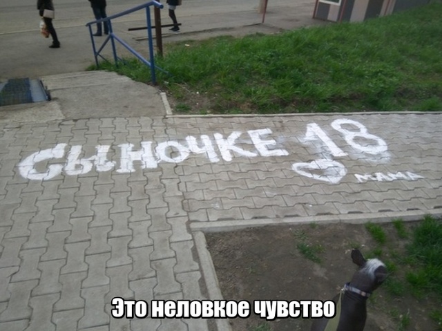 Прикольные картинки