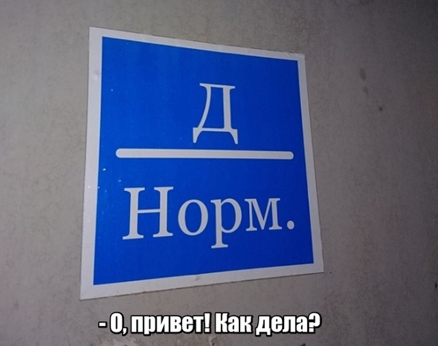 Прикольные картинки