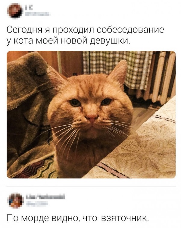 Прикольные картинки