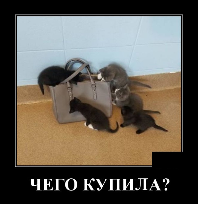 Демотиваторы