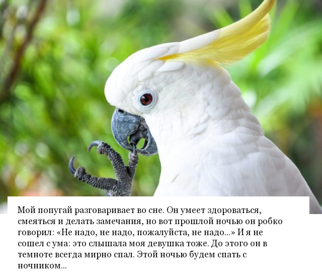 Пугающие истории людей, от которых становится как-то не по себе
