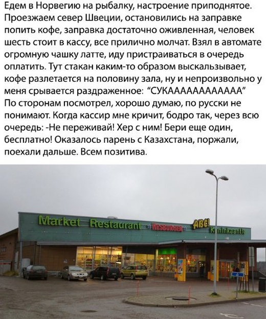 Прикольные картинки
