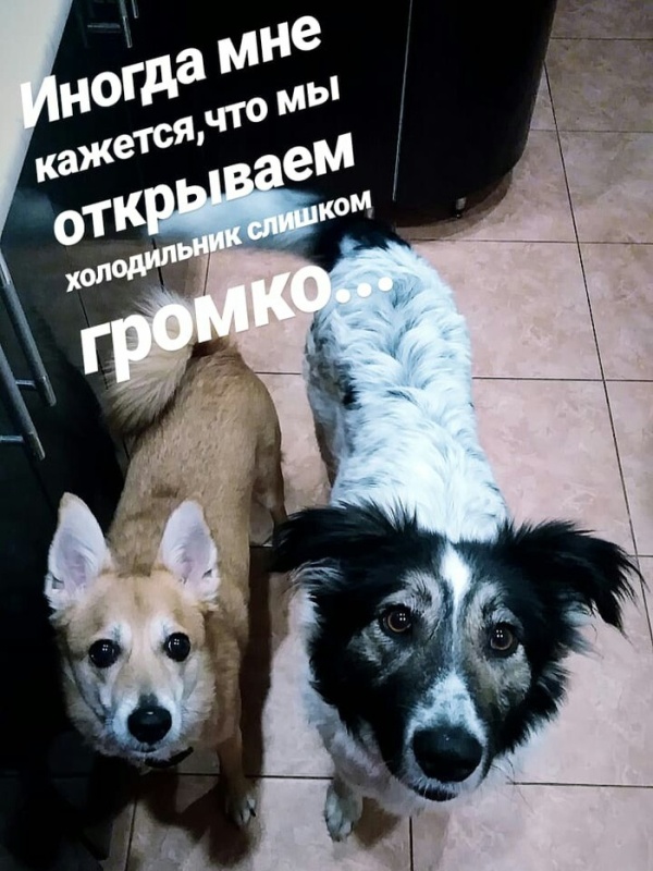 Прикольные картинки