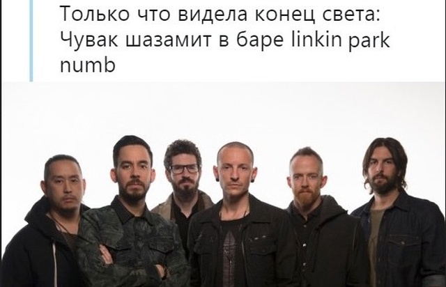 Прикольные картинки