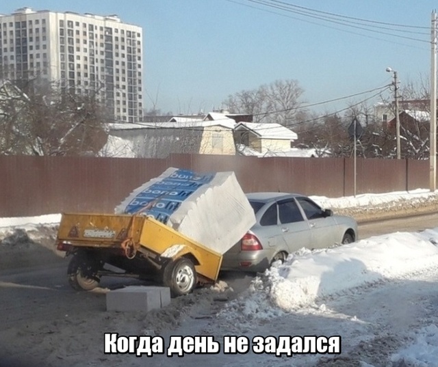 Прикольные картинки