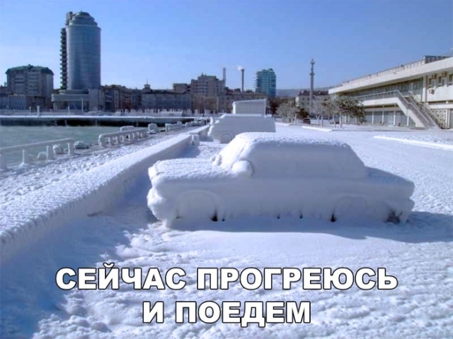 Прикольные картинки
