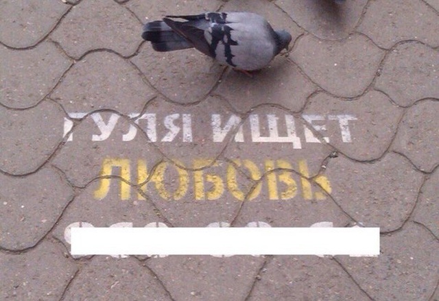 Прямолинейный юмор с просторов сети