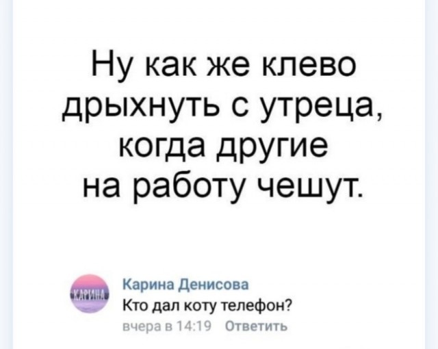 Высказывания и комментарии из социальных сетей