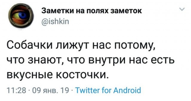 Высказывания и комментарии из социальных сетей