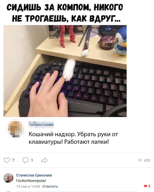 Высказывания и комментарии из социальных сетей