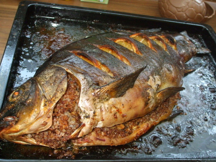 Рецепты вкуснейших блюд из гречки