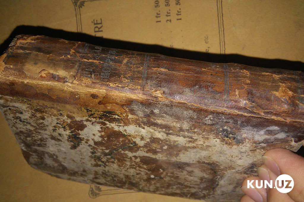 В Ташкенте был найден клад исторических предметов стоимостью свыше миллиона долларов В Ташкенте был найден клад исторических предметов стоимостью свыше миллиона долларов