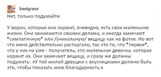 Вороны, такие вороны...