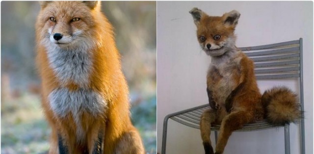 Юмор и картинки на тему "10YearChallenge"