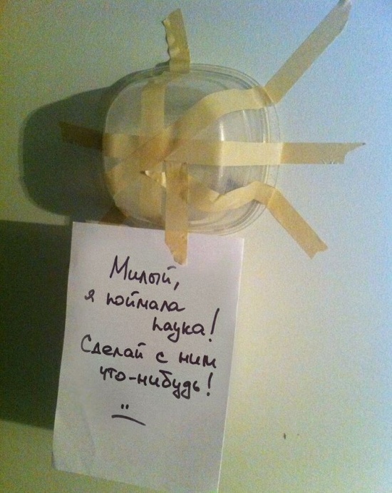 Прикольные картинки