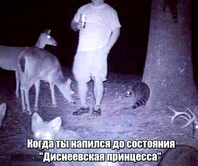 Прикольные картинки