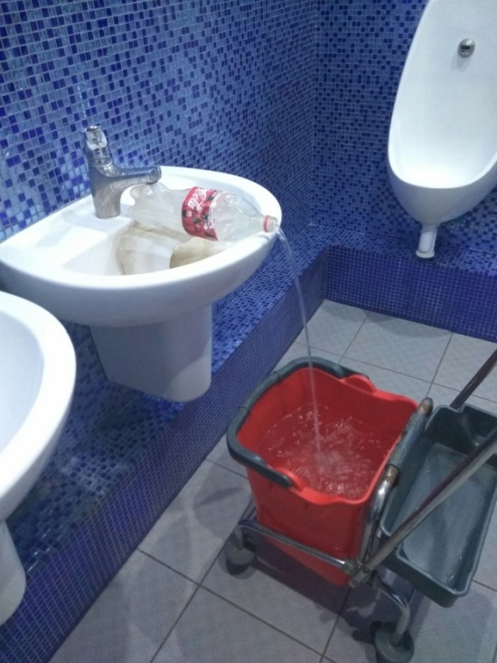 Прикольные картинки
