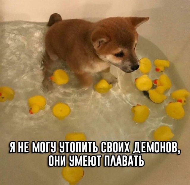 Прикольные картинки